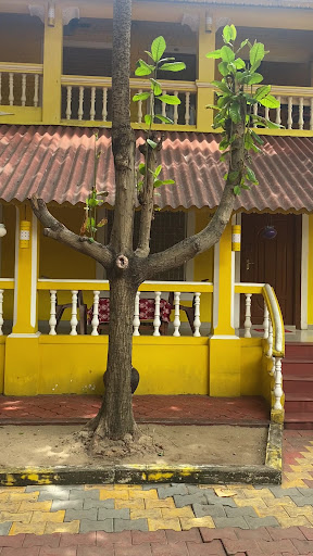 Photo from customer review